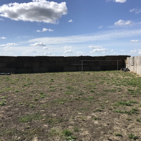 SFAC Shooting Range Online Booking