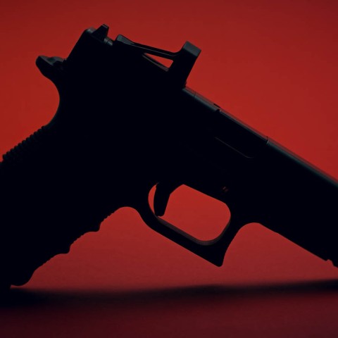 SHIELD REFLEX MINI SIGHT